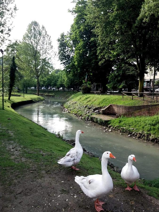 La Petite Maison Treviso Bagian luar foto
